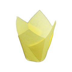 Kapsül Tulip 11x11 Küçük 250 Adetli BEYAZ