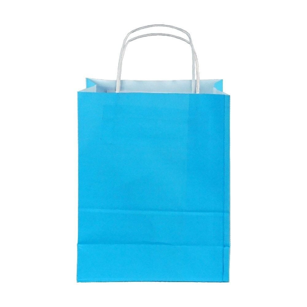Çanta Beyaz Kraft 18x24x9 cm Burgu Sap Mavi Puantiyeli 400 ADETLİ KOLİ