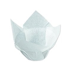 Kapsül Tulip 16x16 Orta Zıvanalı 150 Adetli kutularda BEYAZ