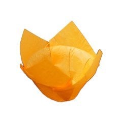 Kapsül Tulip 16x16 Orta Zıvanalı 150 Adetli kutularda KIRMIZI